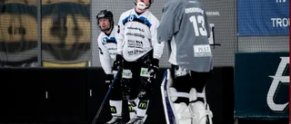 Paralyserat Sirius i skräckens arena
