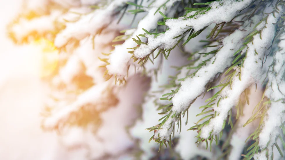 Under torsdagen drog ett snöfall in över Östergötland.