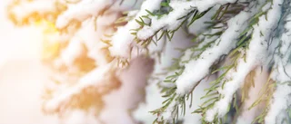 Vädret i dag: Snöfall och blötsnö ❄️