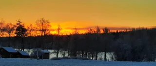 Läsarbild Glödande himmel över Boden
