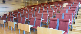 Boliden: Hårt arbetande civilsamhälle – nu saknas politiken