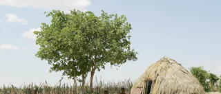 Mer jämställt jordägande i Botswana