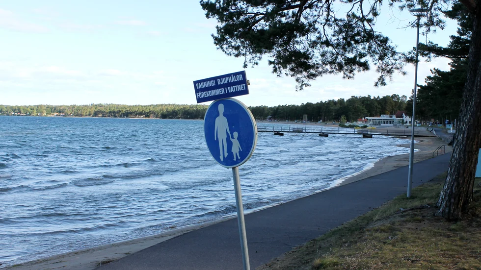 Att använda stora ord och bolla med siffror hämtade från en utredning som bygger på hörsägen är enkelt, menar skribenten.