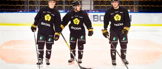 Hyllningen till AIK:s nya toppkedja: ”Ruggigt jobbiga att möta”