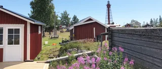 Fler och fler vill besöka Pite-Rönnskär – skärgårdsön på länsgränsen: "Min telefon har ringt konstant"