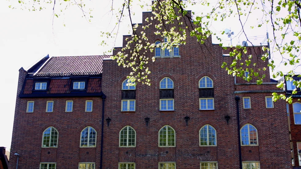 Kanikens roll är att hålla grytan kokande, skriver Bo-Ingvar Kollberg.