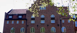 Kaniken är en kokande gryta   