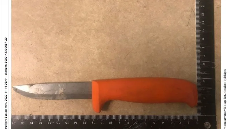 Denna kniv har mannen i 25-årsåldern använt för att ha hotat sin sambo och en man i 30-årsåldern. 