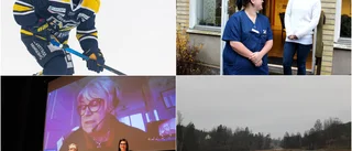 Nyhetsvecka 51: Ljusglimtar under grått decemberväder