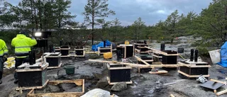 Nytt utsiktstorn byggs vid Stendörren – ska bli stort nog att rymma skolklasser
