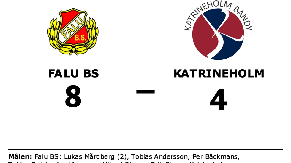 Falu BS vann mot Katrineholm