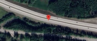 Trafikverkets varning: vilt på vägen på E20