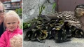 Hel andfamilj instängd – mitt i stan