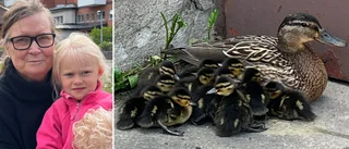Hel andfamilj instängd – mitt i stan