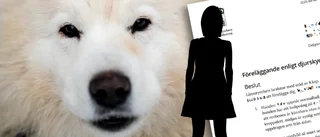 Efter klagomål från allmänheten – hundägare får föreläggande