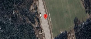 Rådjur innanför viltstängslet på väg 53