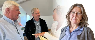 ”De kan ha knäckt koden för ökad inflyttning till Gotland”