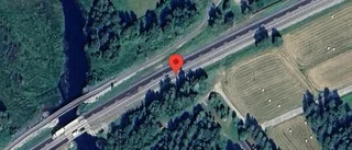 Trafikverkets varning: hundar på vägen på E4