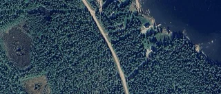 Ny ägare till skogsmark på Norra Trundövägen 397B i Rosvik