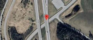 Rådjur innanför viltstängslet på E4