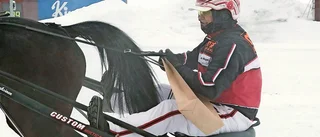 Lunchtravet: Petri synade hemmafavoriten