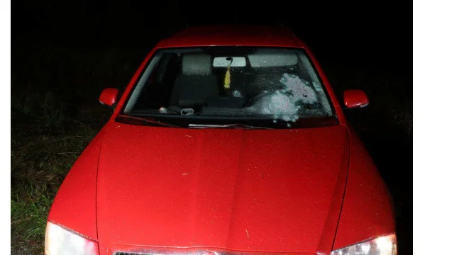 Flera skott avlossades mot framrutan på bilen och träffade föraren.
