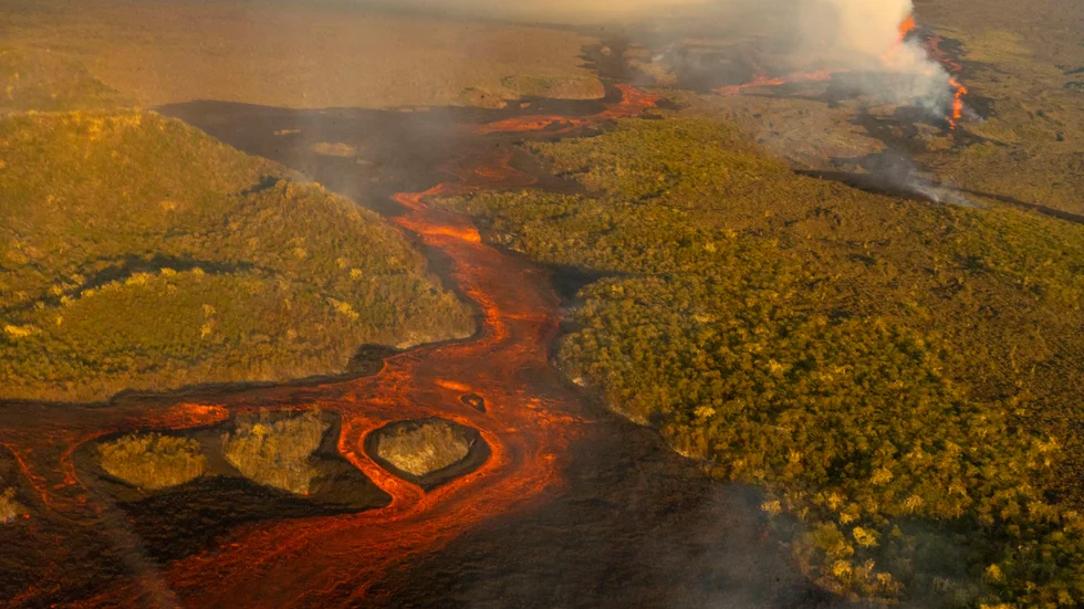 Lava från Wolfvulkanen flödar fram genom nationalparken på den största av Galapagosöarna.