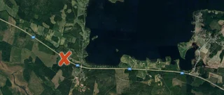 Bil åkte av vägen – en person och en hund inblandade