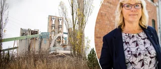 Nypelius hoppas på djupare samarbete med Cementa • "Diskussionerna behöver föras vidare under det här året"