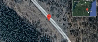 Fallna träd skapar problem i trafiken