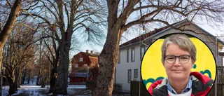 Hundraåriga träd oroar boende på Arnö – ingen fara enligt kommunen