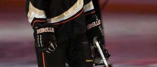 Nu är Warg klar för AIK