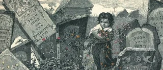Daniel Kahn &amp; The Painted Bird