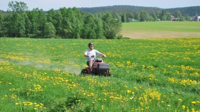 Foto: Yvonne Rönngren