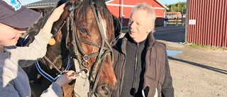 En riktig veteran dominerade i solen på Skelleftetravet