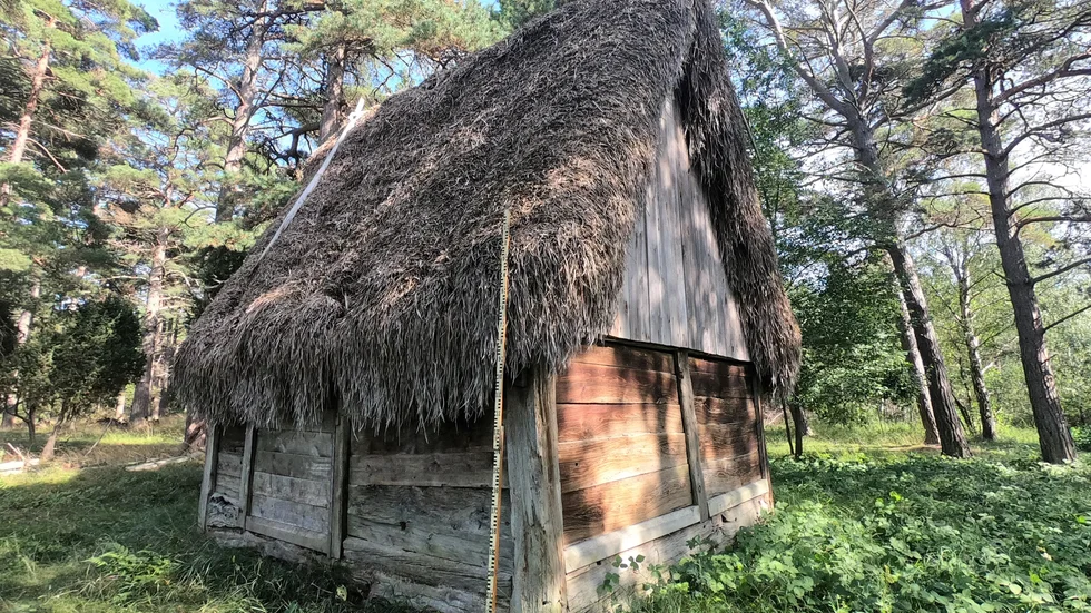 ”Inte lika exalterande” som fynd av en medeltida stavkyrka, men ändå ett värdefullt bidrag till vetenskapen, konstaterar Peter d'Agnan.