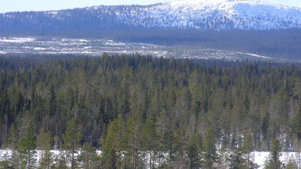 Skogsägare får ersättning för nekad avverkning av fjällnära skogar.
