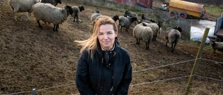 Kris inom jordbruket – nu bjuder de in landsbygdsministern • ”Finns ett självklart samband”