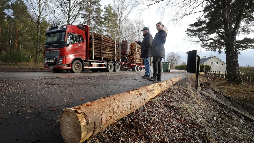 Ärlaborna Tommy Ljungkvist och Ellinor Högsberg vid platsen där timmerstockarna landade.