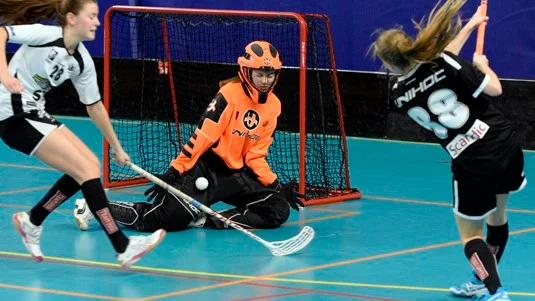 Premiär. Skellefteå IBS spelade sin första match i division I. Foto: Arkiv Arkiv.