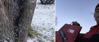 För andra dagen i rad – Norran-klappen kneps efter tio minuter!