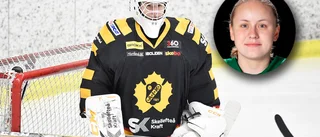 Skellefteå AIK värvar från Björklöven