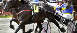 Tyri Svarten håller stilen