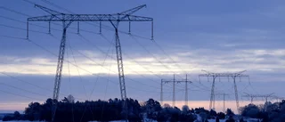 Dyr vinter med rödgrön energipolitik