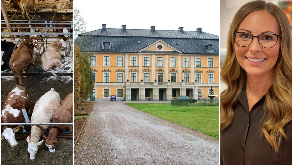 Region Sörmland serverar efter många års planering och diskussion nu egenproducerat och Kravmärkt kött från Nynäs på sjukhusen i länet.