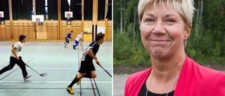 Hertsöns sporthall kan hamna i kläm – moduler möjlig lösning: "Tidigt i processen"