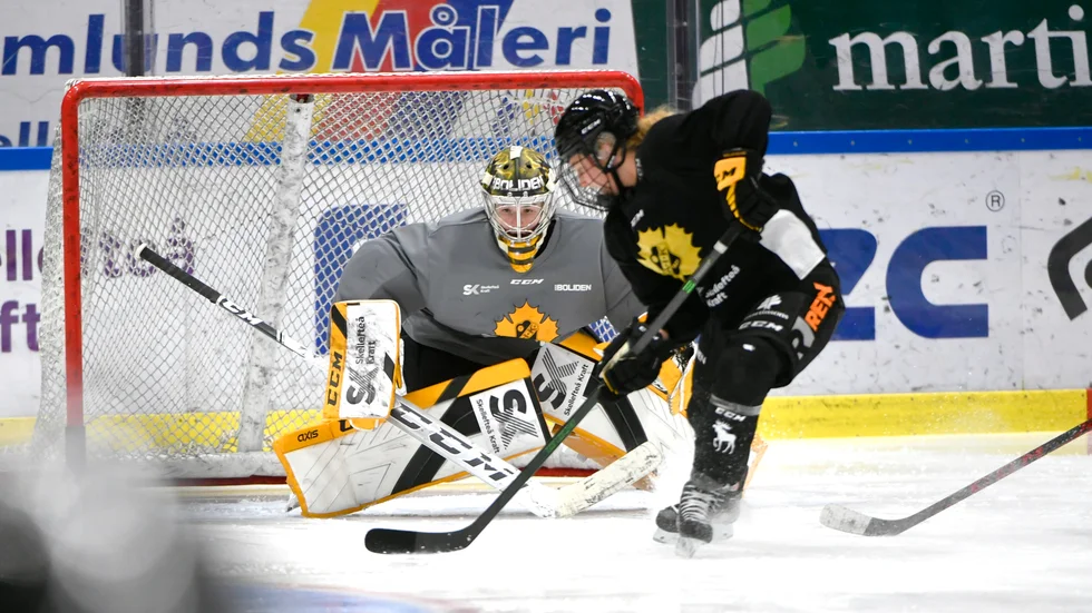 Miranda Dahlgren.