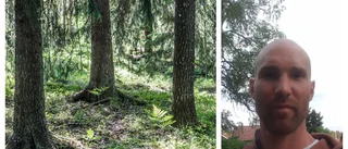Skogsbruket innebär en gemensam strävan framåt