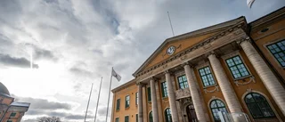 Kvinna får sju års fängelse för knivdåd