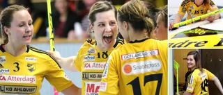 Ewa Jansson– försvarsspecialisten från Nickarve